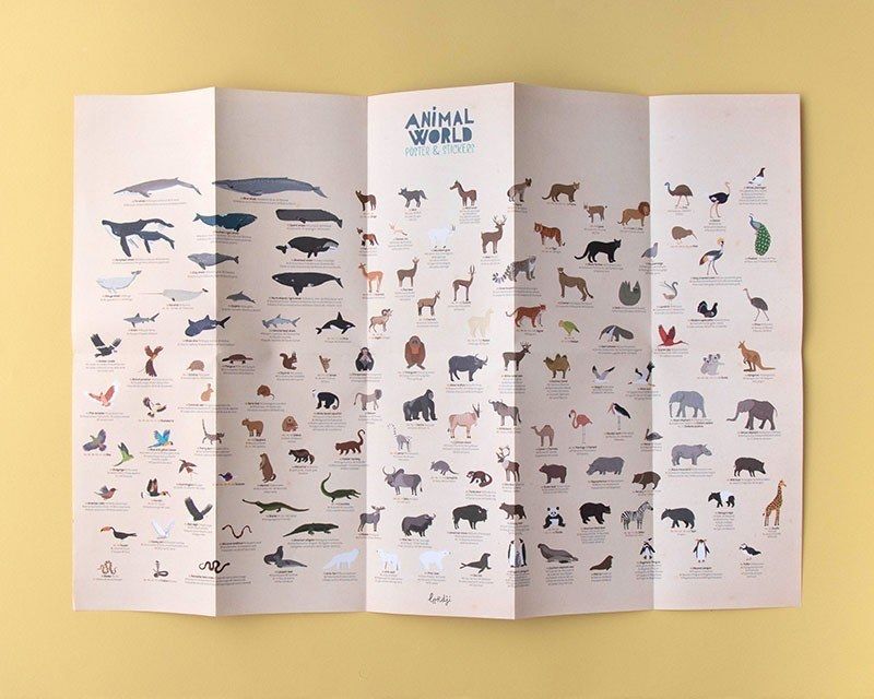 Londji Animal World - Χάρτης Ζώων με Αυτοκόλλητα