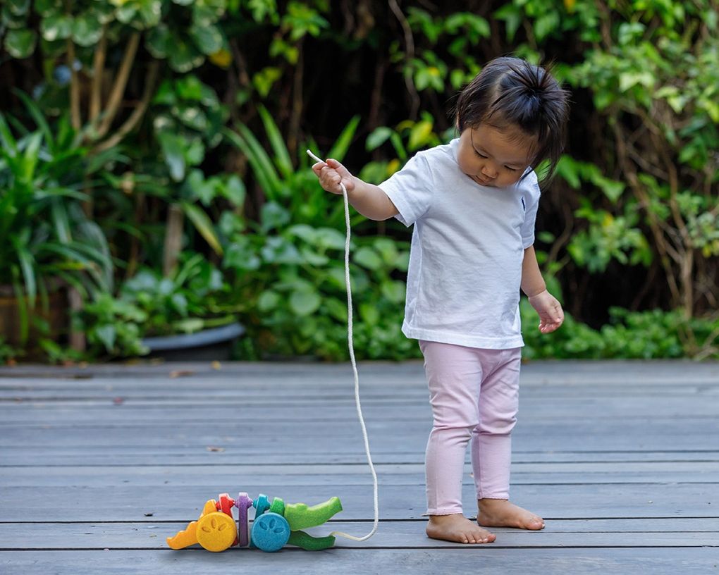 PlanToys Κροκόδειλος Ουράνιο Τόξο - Ξύλινο Συρόμενο Παιχνίδι