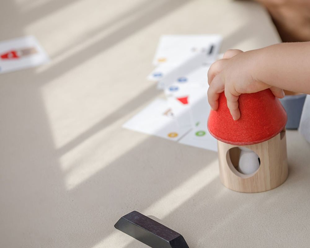 PlanToys Διαστημόπλοιο - Ξύλινο Παιχνίδι Λογικής με Κάρτες