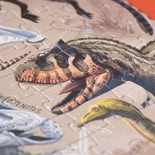 Londji Dinos Explorer - Παζλ Παρατήρησης & Ανακάλυψης (350 τεμ.)