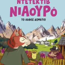 Ο Ντετέκτιβ Νιαουρό και το λάθος δωμάτιο