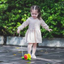 PlanToys Σαλιγκάρι – Ξύλινο Συρόμενο Παιχνίδι